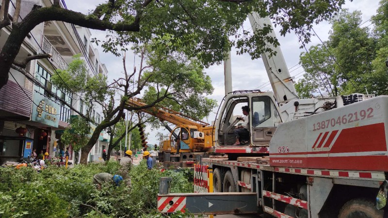 國網南豐縣供電公司：線路整治，備戰迎峰度夏