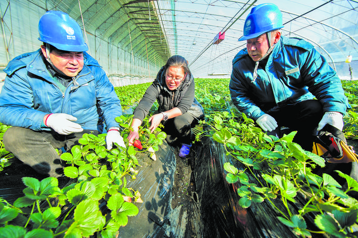 國網山東電力：鄉村電氣化 服務一體化