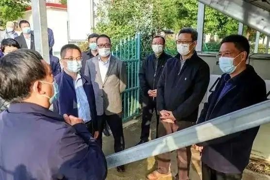 賦能鄉村振興！國家電投“新能源+”、“光伏+”助推經濟高質量發展