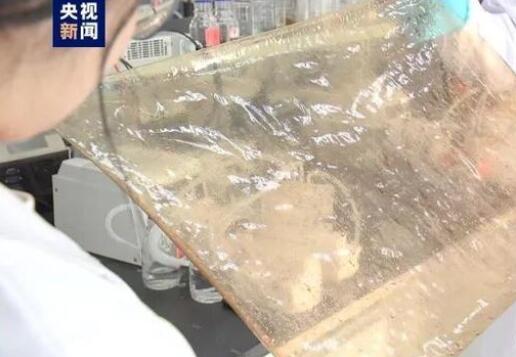 國產新型離子膜問世，有望在新能源的儲能領域廣泛應用