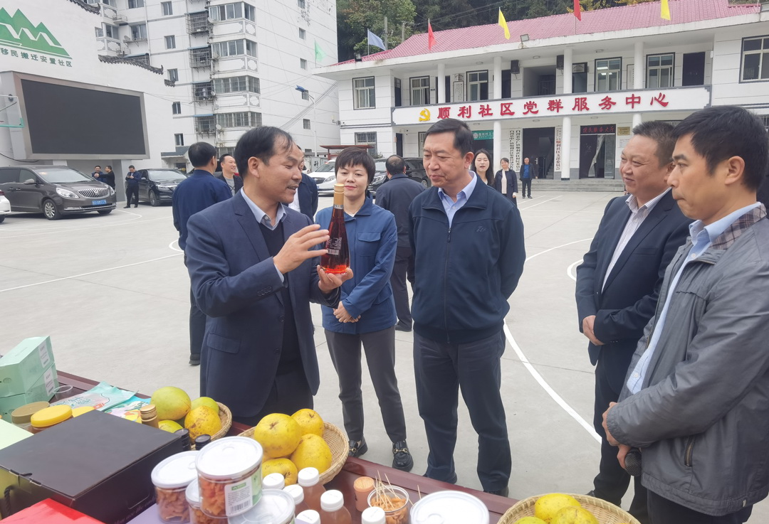 中核集團總經理、黨組副書記顧軍赴陜西白河、旬陽調研鄉村振興工作