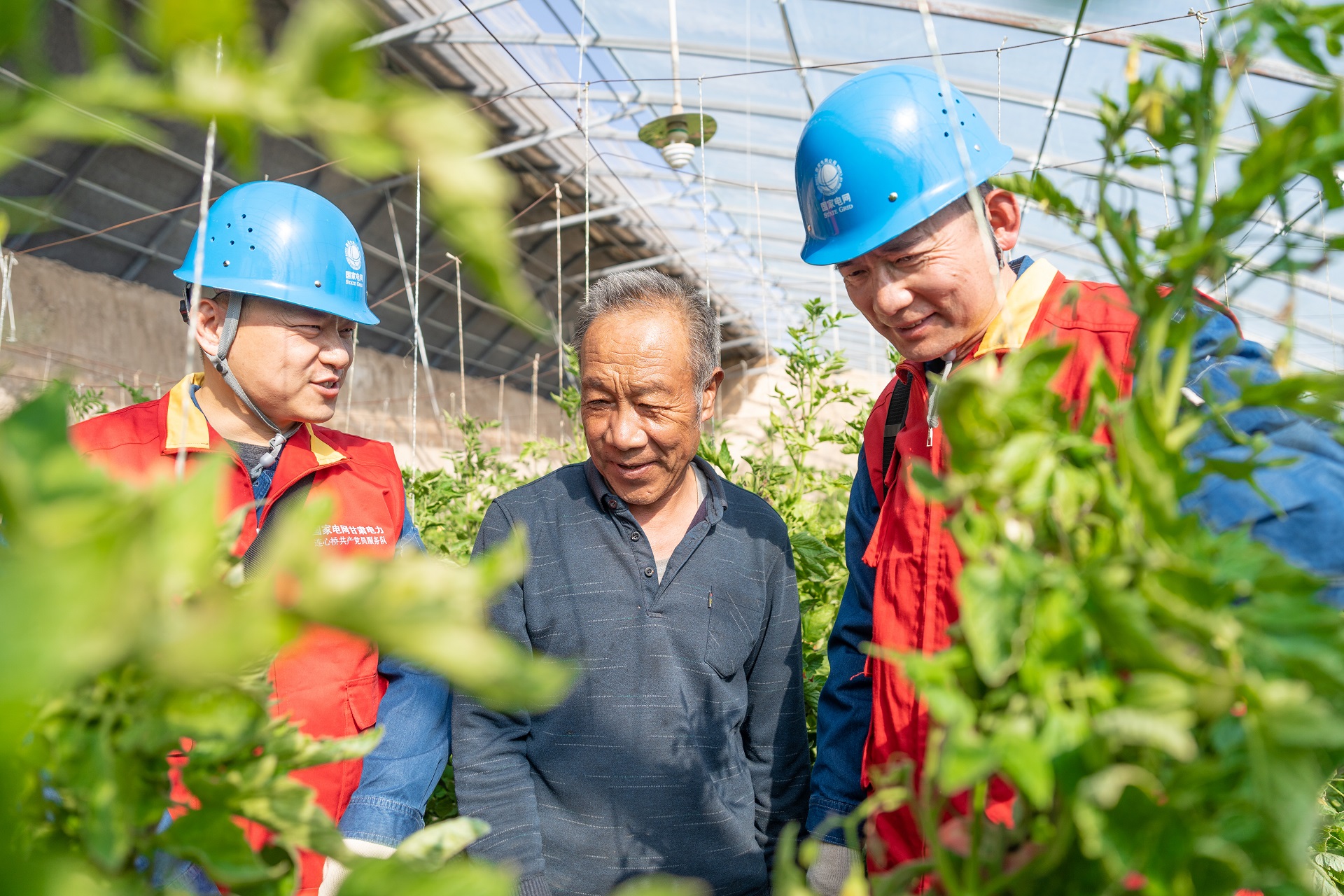 國網榆中縣供電公司：黨建賦能強保障 農業生產電力足